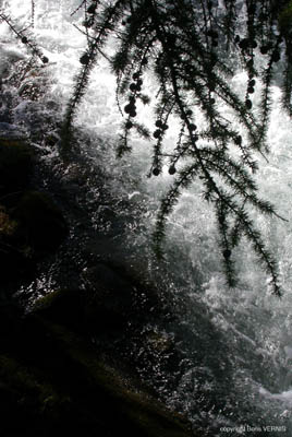 17 cour d'eau
