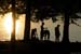 09 lac silhouettes