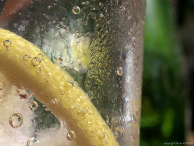 08 citron